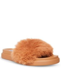 Eastwear.shopc9d94492ab 2