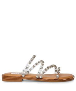 Eastwear.shopcc06189884 1